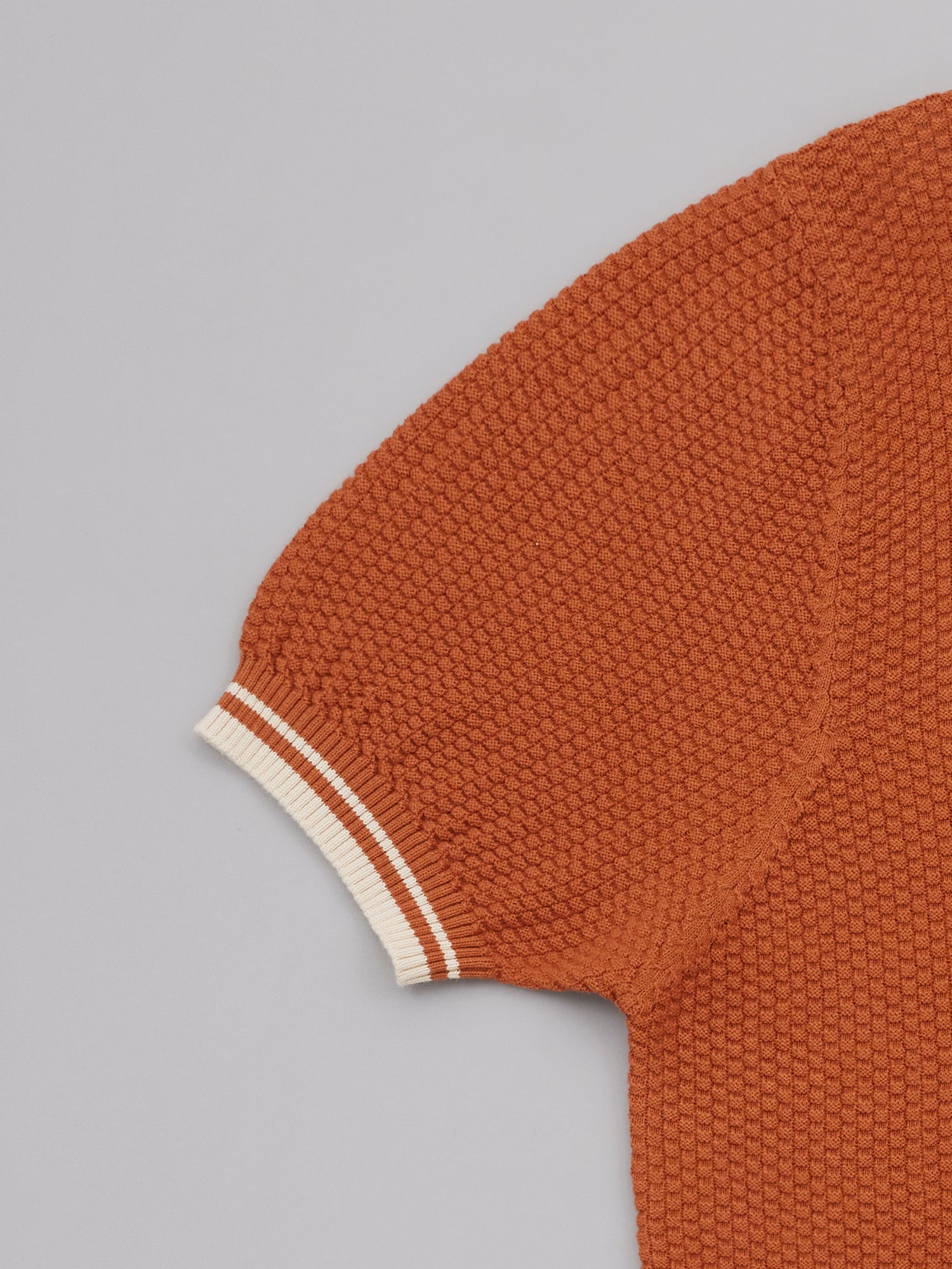Rust Contrast Textured Polo